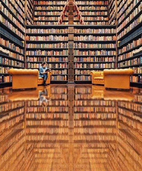 Celebrating National Library Lovers Month with a look at the most visually stunning and awe-inspiring libraries from around the world. #LibraryLoversMonth #TLChat #Library Future Library, World Library, Dream Library, Beautiful Library, Library Architecture, Island Art, Home Libraries, Reading Room, Home Library