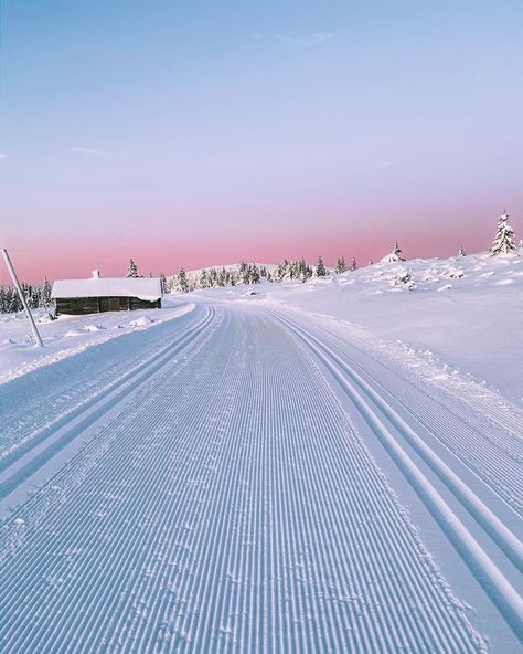 Ski Trip Aesthetic, Skiing Aesthetic, Ski Aesthetic, Ski Culture, Nordic Skiing, Snow Trip, Winter Inspo, I Love Winter, Ski Holidays