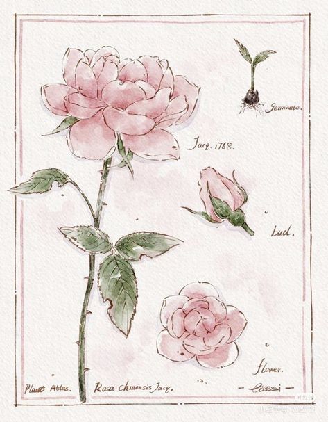 Flower Bouquet Drawing Reference, Mini Drawings Watercolor, Sketchbook Ideas Flowers, Pretty Flowers Drawing, Different Flowers Drawings, Flower Arrangement Drawing, Pink Rose Sketch, Pink Flowers Drawing, Pastel Flowers Drawing