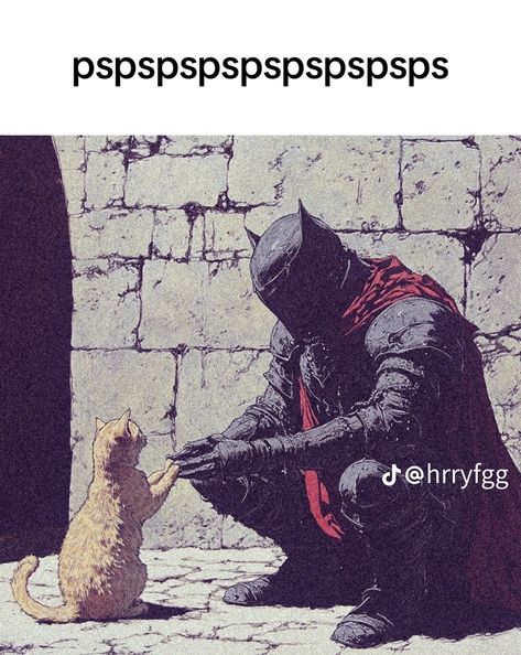 Funny Knight Pictures, Knight With Cat, Knight Core Aesthetic, Knight Aesthetics, Medieval Batman, Gentle Warrior, Frog Knight, Knight Core, Knight Pfp