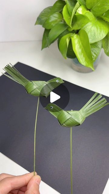 paper crafts creator on Instagram: "Title: "Palm Leaf Bird Weaving: Simple and Cute Nature Craft!"
Hashtags: #NatureCrafts #DIYBird #ParentChildCrafting #CreativePlay #HandmadeKidsCrafts" Palm Branches Craft, Diy Palm Leaf Decor, Palm Weaving Diy, Palm Leaf Craft, Braiding Palm Fronds, Weaving With Palm Leaves, How To Weave Palm Leaves, Palm Leaf Weaving, Palm Weaving