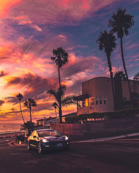 🌹𝑴𝒊𝒂 𝑮𝒐𝒏𝒛𝒂𝒍𝒆𝒛🌹 on Instagram: “Whip a Tesla…” California Wallpaper, Collage Des Photos, California Palm Trees, Alcatraz Island, Nostalgia Aesthetic, Palm Tree Sunset, Sierra Nevada Mountains, Cute Tumblr Wallpaper, Redwood Forest