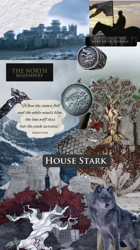 #gameofthrones #housestark Jon Snow Aesthetic, Stark Aesthetic, Volleyball Wallpaper, Game Of Thrones Poster, Game Of Thrones Books, Game Of Thrones Cast, Game Of Thrones Artwork, Game Of Thrones Dragons, Got Game Of Thrones