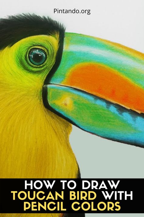 In this drawing tutorial, you will learn how to draw a toucan bird in an easy step by step guide. Toucan drawing isn’t a hard task to complete. By following our step by step guide you can finish this task. Let’s come true your dream how to draw a toucan. Toucan Drawing, Hatch Drawing, Toucan Art, Hello How Are You, Toucan Bird, Drawing Projects, Step Drawing, Learn How To Draw, Drawing Lessons