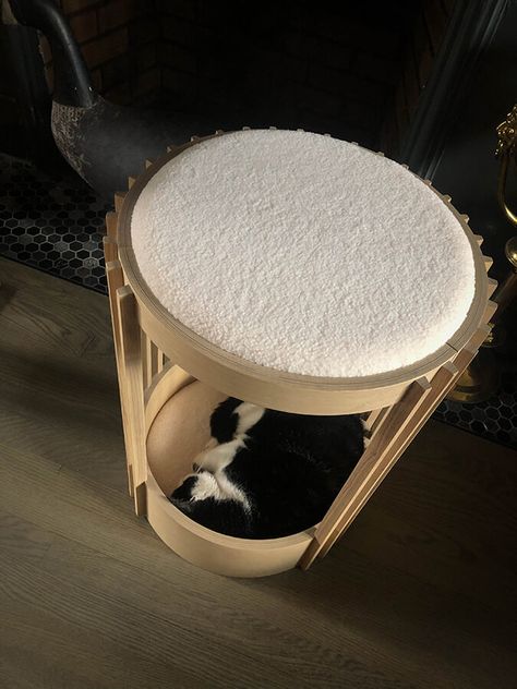 Tuft + paw – more new modern cat furniture Modern Cat Furniture, Great Cat, Cat Parenting, Grey Stain, Modern Cat, Cat Tower, Recycling Bins, Cat Furniture, Furniture Companies