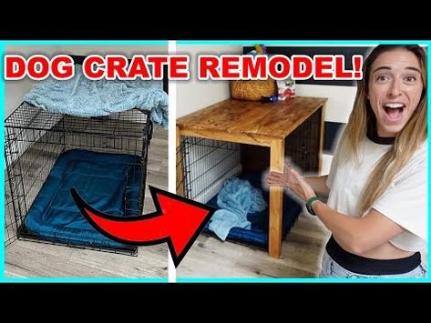 (409) Build a Dog Crate Cover With Me!!!!!!!!!!!! - YouTube Diy Dog Crate Cover, Dog Cage Cover, Wood Dog Crate, Dog Crate Cover, Crate Cover, Dog Cages, Dog Crate, Apartment Ideas, A Dog