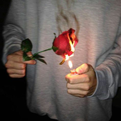 Rose On Fire, Burning Flowers, Burning Rose, Valentine Photo Shoot, Wallpaper Flower, Rosé Aesthetic, Fire Flower, Roses Drawing, Valentine Photo