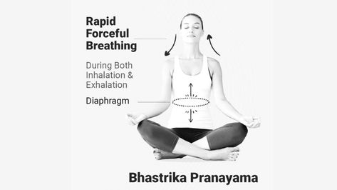 Bhastrika Pranayama - World Yoga Forum Bhastrika Pranayama, Pranayama, Bellows, Sanskrit, Benefits, Yoga, Memes