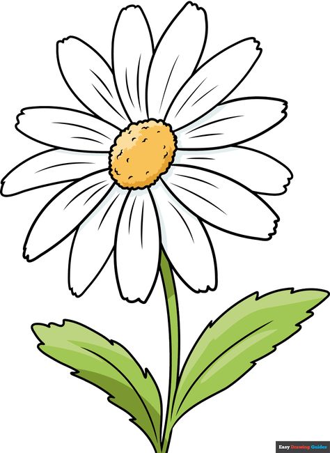 Learn to draw a Daisy Flower. This step-by-step tutorial makes it easy. Kids and beginners alike can now draw a great Daisy Flower. Daisy Flower Drawing, Diy Drawings, Daisy Drawing, Easy Flower Drawings, Pencil Drawings Of Flowers, April Birth Flower, Tree Drawings Pencil, Sunflower Drawing, Flower Drawing Tutorials