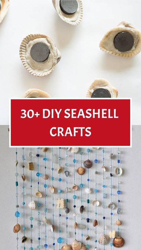 Dive into a world of creativity with 32 DIY Seashell Crafts that capture the essence of summer! Create seashell mirrors, seashell garlands, or even seashell mobiles. Let the beauty of seashells inspire you as you bring the coastal charm into your home with these handmade crafts. #SeashellCrafts #DIYIdeas #SummerDecor #BeachInspired Seashell Picture Frames Diy Shells, Diy With Rocks, Beach Memory Ideas, Pictures Made With Shells, Diy Sea Decorations, Crafts With Shells From The Beach, Sea Shell Display Ideas Diy, Seashell Keepsake Ideas, Shellcraft Ideas