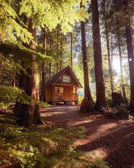 Sisterhood Retreat, Cozy Log Cabin, Summer Cabin, Cabin Aesthetic, Secluded Cabin, Forest Cabin, Off Grid Cabin, Beautiful Cabins, Little Cabin