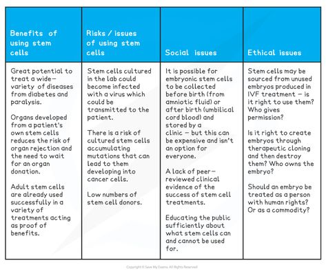 The Use of Stem Cells (8.2.3) | AQA A Level Biology Revision Notes 2017 | Save My Exams Stem Cells Notes, Biology Revision Notes, A Level Biology Revision, Types Of Blood Cells, Somatic Cell, Biology Revision, Glial Cells, A Level Biology, Cell Cycle