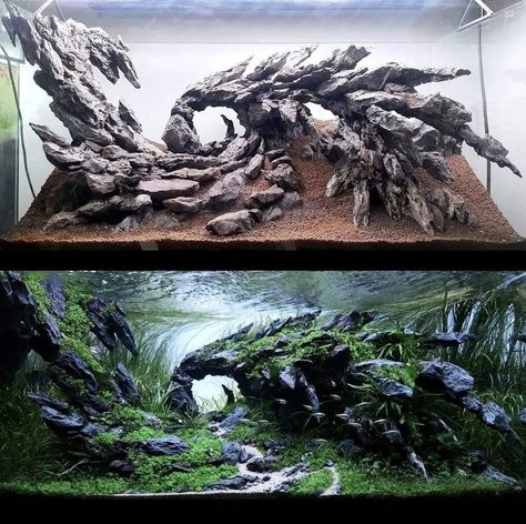 Fish Tank Landscaping, Freshwater Aquarium Design, Aquarium Theme Ideas, Aquarium Aquascape Ideas, Freshwater Tank Ideas, Fish Tank Set Up Freshwater Aquarium, Aquarium Hardscape Ideas, Paladarium Design, Peceras Aesthetic