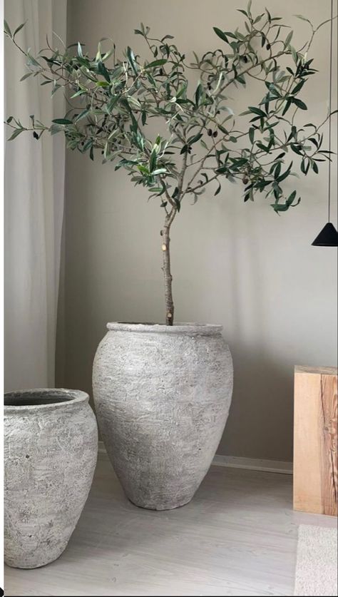 Indoor Olive Tree, Indoor Tree, Earthy Home, Faux Olive Tree, Foyer Decor, Thrift Flip, Potted Trees, Plant Vase, Organic Modern Decor