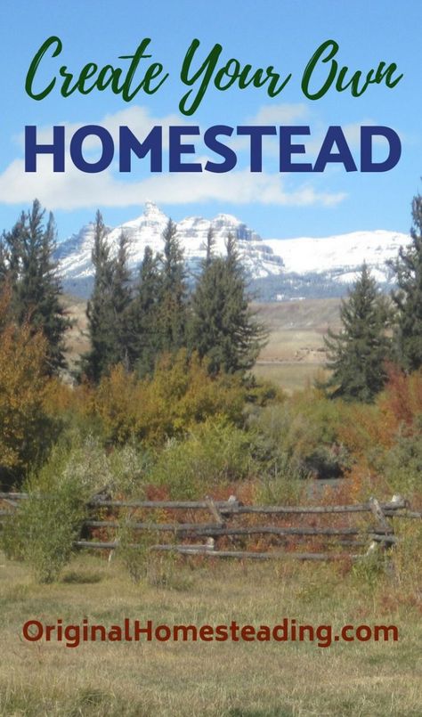 Create Your Own Homestead Environmentally Friendly Living, Plastic Free Living, Organic Gardening Tips, Rat Race, Free Living, Small Backyard Design, Raising Chickens, Grow Your Own Food, Off Grid Living