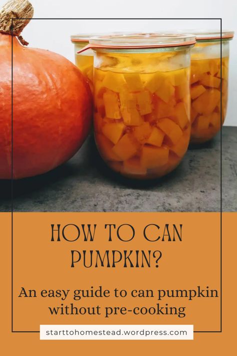 Preserve your pumpkin harvest and enjoy the convenience of canned pumpkin year-round! This guide walks you through the simple steps of canning pumpkin cubes, a time-saving method that ensures you always have fresh-tasting pumpkin on hand for soups, risottos, and more. Learn the benefits of water bath canning, important safety tips, and how to use canned pumpkin in a variety of delicious dishes. How To Can Pumpkin, Canning Pumpkin, How To Can Soup Water Bath, Canning Pumpkin Puree, Canned Pumpkin Recipes Easy, Canning Pumpkin Puree Water Bath, Canning Soup Recipes, Hot Water Bath Canning, Canned Pumpkin Recipes