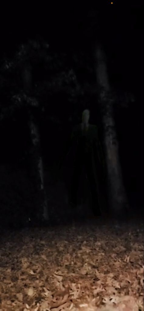 Slenderman Real, Slenderman Sightings, Slenderman, Quick Saves