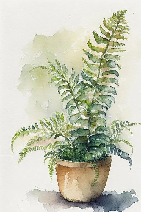 Watercolour Ferns Leaves, Fern Plant Drawing, Plant Watercolor Art, Watercolor Ferns Paintings, Watercolor Plant Paintings, Watercolor Art Plants, Potted Plant Drawing, Fern Pictures, Ferns Drawing