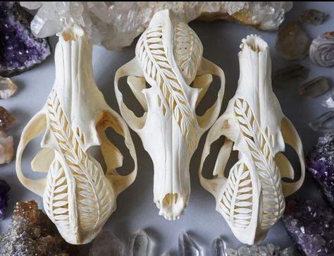 Naturalist Decor, Painted Animal Skulls, Animal Skull Decor, Snake Crafts, Carved Antler, Cow Skull Art, Skull Reference, Skulls And Bones, Skull Crafts