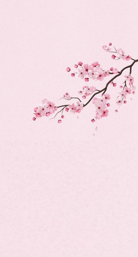 Iphone Wallpaper Cherry Blossom, Cherry Blooms Wallpaper, Cherry Blossom Homescreen, Aesthetic Wallpaper Cherry Blossom, Cherry Blossom Lockscreen, Sakura Blossoms Wallpaper, Cherry Blossom Phone Wallpaper, Sakura Wallpaper Aesthetic, Pink Japanese Wallpaper