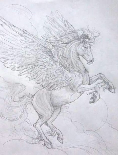 Alicorn Drawing, Animal Sketch Ideas, Unicorn Sketch Pencil, Pegasus Sketch, Unicorn Drawing Sketches, Mystical Creatures Drawings, Pegasus Drawing, Unicorn Sketch, Horse Tattoo Design