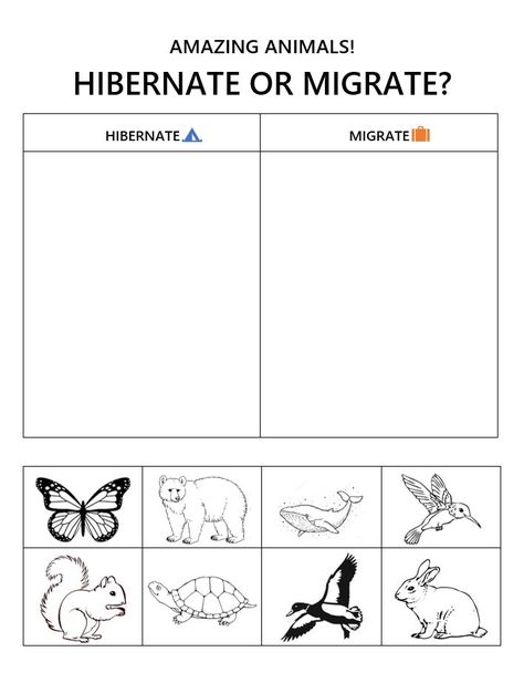 Migration Preschool, Hibernation Migration Adaptation, Migration Animals, Migrating Animals, Kindergarten Seasons, Preschool Hibernation, Hibernation Preschool Crafts, Migration Movie, Migration Activities