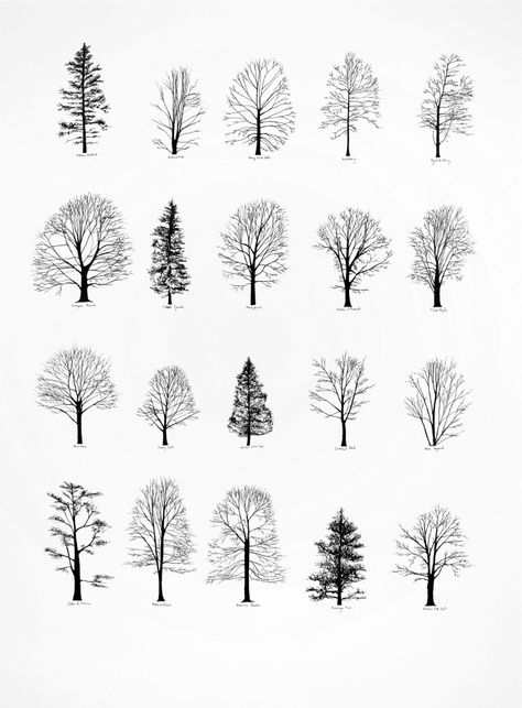 I want a tattoo to represent Maine, where I grew up. A super simple pine tree like this would be perfect, since Maine is the Pine Tree State. Trees, Black And White, White, Black