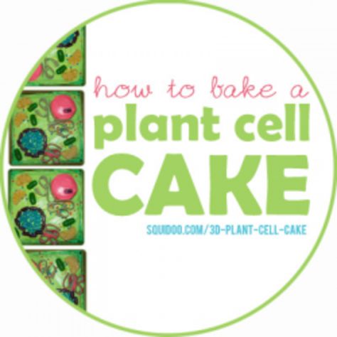 Step-by-step instructions for baking a fun, scientifically accurate plant cell cake. Plant Cell Cake With Candy, 3d Cell Project, Plant Cell Cake, Cell Project Ideas, 3d Plant Cell, Edible Cell Project, 3d Animal Cell, Cell Cake, Plant Cell Project