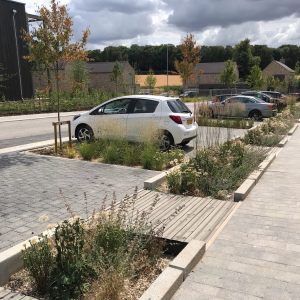 Lovedon Fields by BD Landscape Architects « Landscape Architecture Platform | Landezine Permeable Paving, Landscape Inspiration, Growing Gardens, Garden Services, Public Realm, Landscape Architects, Water Management, Landscape Plans, Rain Garden