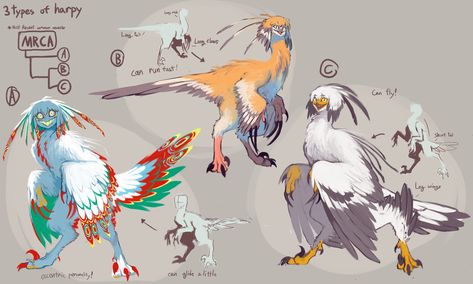 Monster Bird Concept, Harpy Concept Art, Bird Monster Concept Art, Bird Anthro, Harpy Oc, Mythical Creature Art, Navy Art, Humanoid Creatures, Alien Character