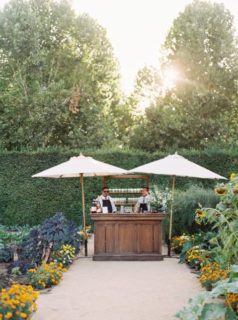 Backyard Tuscan Wedding, Garden Wedding Bar Ideas, Garden Party Wedding Parasol, Wedding Bar Outdoor, Outdoor Welcome Party, Walled Garden Wedding, June Garden Wedding, Backyard Wedding Vibes, Outdoor Wedding Bar Ideas