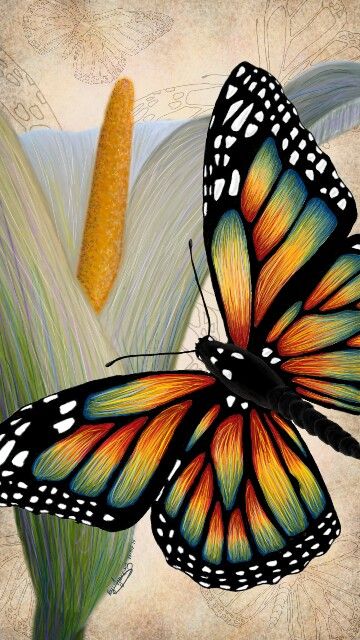 Boho Butterfly Art, Butterfly Drawing With Color, Monarch Painting, Monarch Butterfly Drawing, Monarch Butterfly Painting, Butterfly Painting On Canvas, Draw Sea Animals, Monarch Butterfly Art, Colorful Butterflies Art