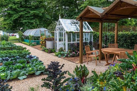 Allotment Ideas Inspiration, Charles Dowding, Allotment Ideas, Allotment Garden, Witchy Garden, Allotment Gardening, Hampton Court Palace, Eco Living, Garden Items