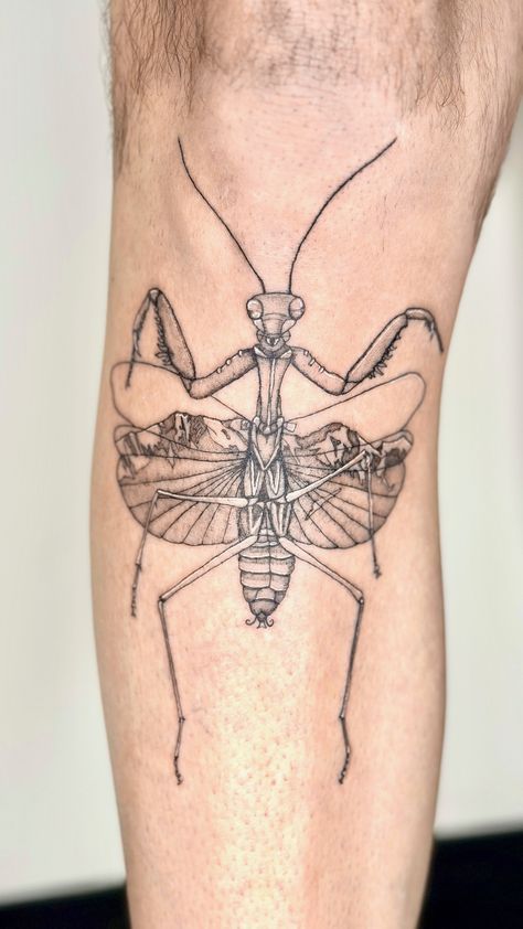 combination of a preying mantis with mountain scene in the wings on shin of shaved male Preying Mantis Tattoo Sketch, Bug Knee Tattoo, Pray Mantis Tattoo, Prey Mantis Tattoo, Praying Mantis Tattoo Simple, Orchid Mantis Tattoo, Mantis Tattoo Design, Under The Knee Tattoo, Pray Mantis