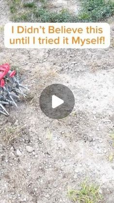 Handyman Dan - U Can Build This on Instagram: "How to Grow Grass in Only a FEW Days! #garden #lawn #lawncare #lawnmaintenance" Mountain Diy, How To Grow Grass, Dethatching Lawn, Backyard Creations, Growing Grass, Garden Growing, Vegetable Garden Diy, Garden Weeds, Lawn Maintenance