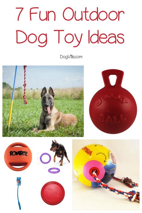 Dog Toy Ideas, Scary Dog, Smart Dog Toys, Outdoor Dog Toys, Kong Dog Toys, Dog Toys Indestructable, Diy Dog Toys, Positive Dog Training, Toys Ideas