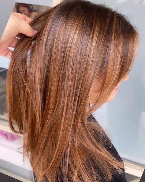 30 Hottest Copper Balayage Hair Ideas - Hairstyle & Makeup in 2022 | Balayage hair copper, Golden brown hair color, Balayage hair Red Balayage Hair On Light Brown Hair, Auburn Ginger Hair, Copper Balayage Hair, Balayage Hair Ideas, Hair Color Light, Copper Brown Hair, Light Auburn Hair, Copper Balayage, Light Auburn