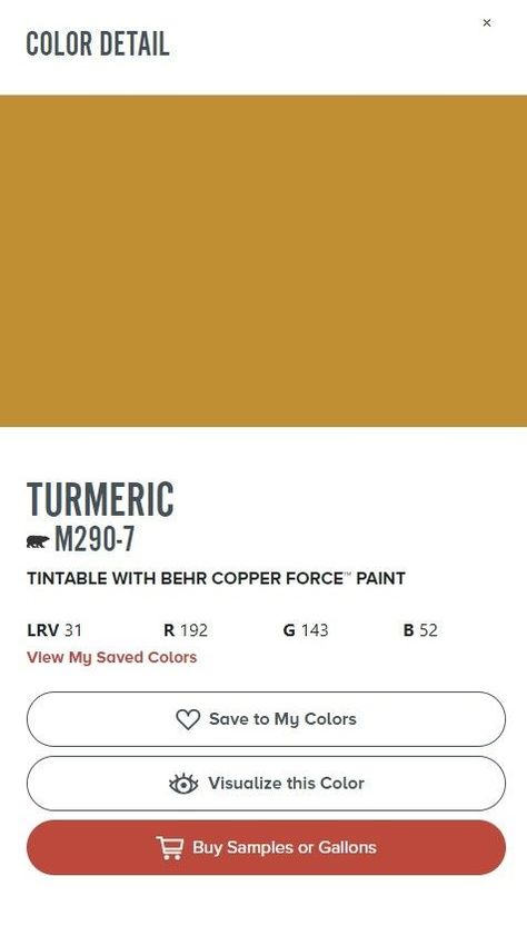 Behr Turmeric, Turmeric Paint Color, Mustard Paint Color, Yellow Bathroom Paint, Mustard Yellow Paints, Accent Paint, Mustard Walls, Workout Room, Behr Paint