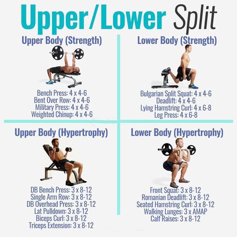 8 Powerful Muscle Building Gym Training Splits | Fitness Workouts & Exercises Upper And Lower Body Workout, Rep Ranges, Lower Workout, Body Routine, Workout Man, Muscle Workout, Full Body Workout Routine, Workout Splits, Gym Buddy