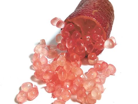 The somewhat rare Australian Red Lime will yield striking red two-inch-long fruit. Each fruit has tiny juice vesicles inside that pop when you eat them, releasing a spray of tasty juice. Norse Food, Australian Backyard, Finger Limes, Flowers To Draw, Caviar Lime, Finger Lime, Growing Fruit Trees, Pink Cactus, Lime Tree