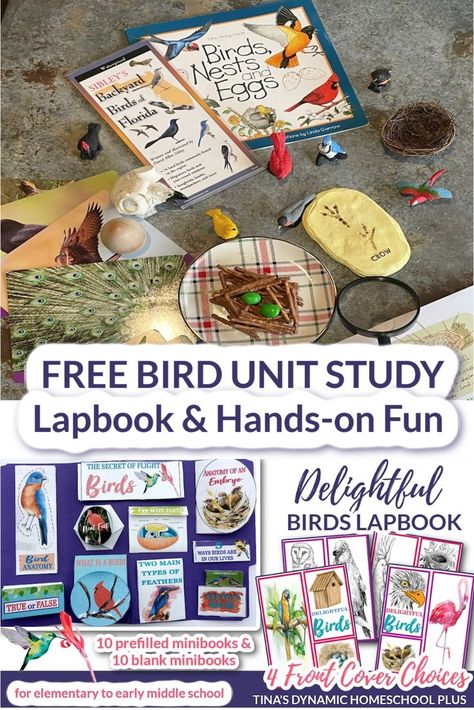 Free Bird Unit Study and Lapbook And Fun Edible Bird Nests Edible Birds Nest, Lapbook Ideas, Unit Studies Homeschool, Bird Nests, Homeschool Freebies, What Is A Bird, Nature School, Homeschool Crafts, Free Bird