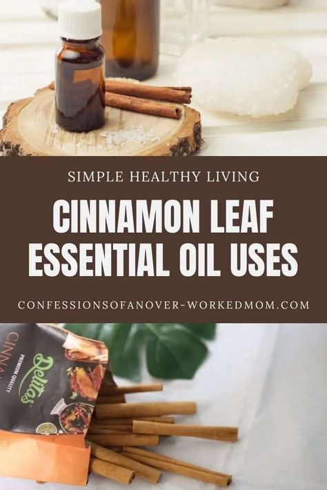 Cinnamon Leaf Essential Oil Uses, Cinnamon Leaf Diffuser Blends, Oils For Breathing, Oil Diffuser Benefits, Essential Oils Uses Chart, Cinnamon Uses, Cleaning With Essential Oils, Essential Oils For Breathing, Cinnamon Soap