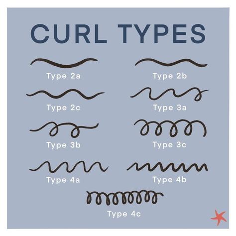 Curl Pattern Chart, Curl Type Chart, Hair Beach Waves, Hair Care Curly, Hair Chart, Healthy Curls, Type Chart, Curl Types, Lavender Shampoo