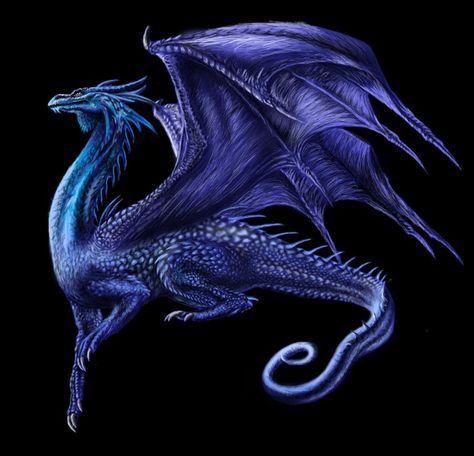 Saphira Saphira Dragon, Inheritance Cycle, Dragon's Lair, Purple Dragon, Dragon Images, Fairy Dragon, Beautiful Dragon, Dragon Pictures, White Dragon