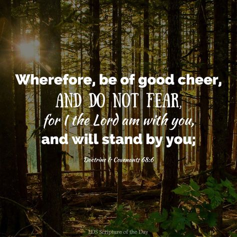 Wherefore, be of good cheer, and do not fear, for I the Lord am with you, and will stand by you;… Doctrine & Covenants 68:6 #sharegoodness #LDS Be Of Good Cheer, Missionary Quotes, Mormon Scriptures, Comforting Scripture, Lds Scriptures, Jesus Christ Quotes, Gospel Quotes, Doctrine And Covenants, Scripture Of The Day