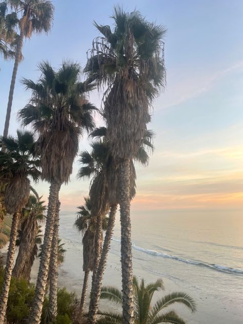 Encinitas Aesthetic, San Diego Aesthetic, Encinitas California, California Aesthetic, California San Diego, Tropical Ocean, Sunset Sea, Boat Painting, Ocean Sunset