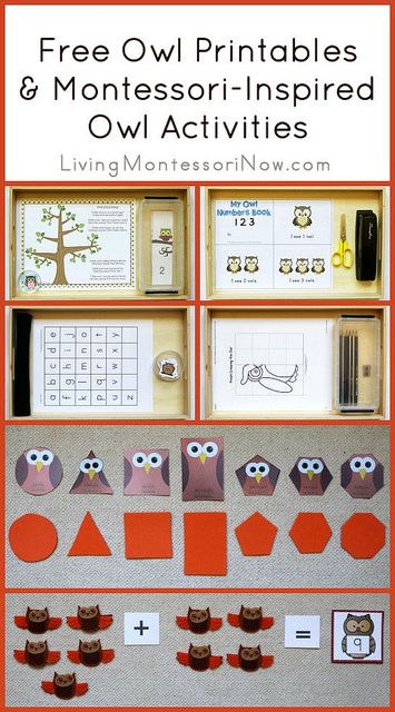 Long list of free owl printables plus ideas for using owl printables to create Montessori-inspired owl activities.:) Owl Preschool, Owl Activities, Night Animals, Owl Babies, Owl Printables, Owl Theme Classroom, Owl Classroom, Story Sack, Montessori Lessons