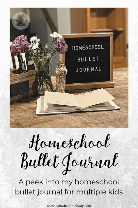 Homeschool Bullet Journal, House Binder, Homeschool Journal, Homeschool Goals, Minimalist Homeschool, Math U See, Bu Jo, School Planning, Bullet Journal Work