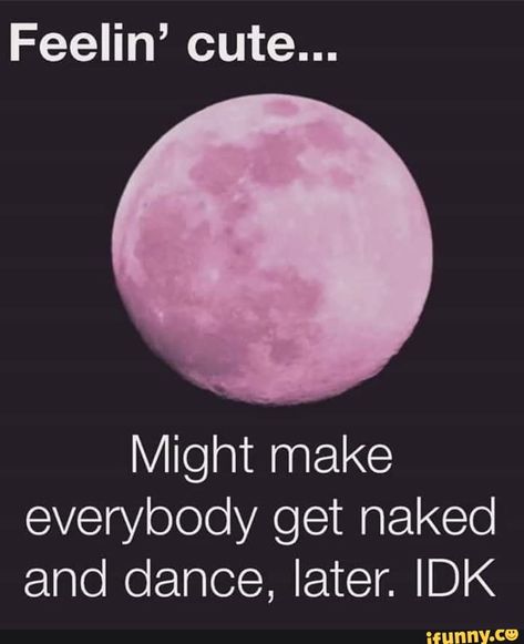 Feelin’ cute... Might make everybody get naked and dance, later. IDK – popular memes on the site iFunny.co #dance #artcreative #feelin #cute #might #make #get #dance #later #pic Friday The 13th Quotes, Funny Dance Memes, Full Moon Quotes, Friday The 13th Funny, Dance Memes, Happy Friday The 13th, Moon Quotes, Its Friday Quotes, Dance Humor