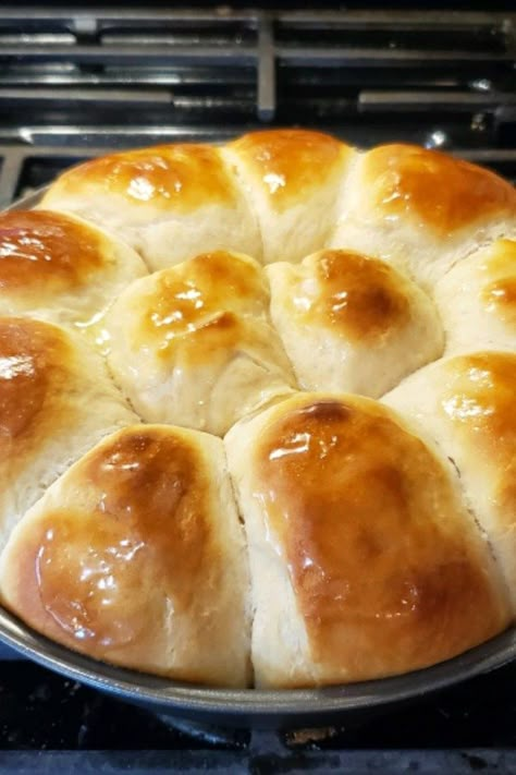 Quick Yeast Rolls | "Oh my goodness!!! These are the best rolls I've ever made!" #christmas #christmasrecipes #holidays #holidayrecipes Quick Yeast Rolls, Easy Yeast Rolls, Homemade Yeast Rolls, Yeast Rolls Recipe, Thanksgiving Side Dishes Easy, Freshly Baked Bread, Candied Sweet Potatoes, Easy Rolls, Yeast Bread Recipes